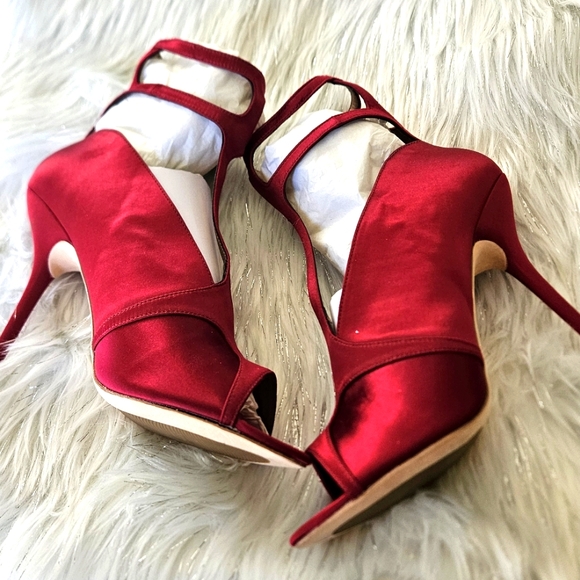 Here are your Sexy Red Shoes! - Picture 7 of 10